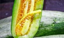 网红店吃瓜,一探究竟的美食之旅